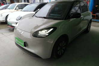 五菱汽车 五菱缤果 2023款 333km 悦享款