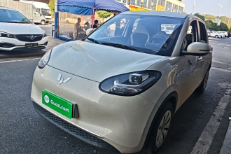 五菱汽车 五菱缤果 2025款 203km 轻享款