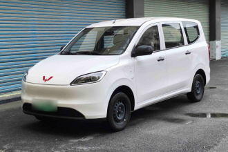 五菱汽车 五菱宏光新能源 2024款 纯电版 300KM 标准型