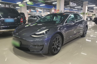 特斯拉 Model 3 2020款 改款 标准续航后驱升级版