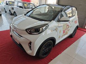 奇瑞QQ 小蚂蚁 2024款 改款 青春版 251km 真爱版 25.05kWh