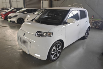 欧拉白猫 2020款 305km 豪华型