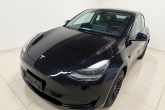 特斯拉 Model Y 2022款 后轮驱动版