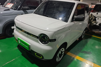 吉利银河 2025款 熊猫mini 210km 元气熊