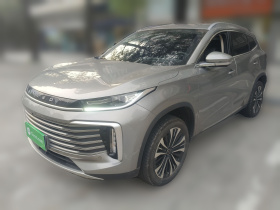 星途凌云 2024款 300T 两驱星耀版