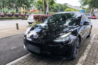 特斯拉 Model 3 2022款 后轮驱动版