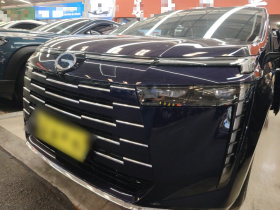 广汽传祺 传祺E8 2024款 荣耀系列 2.0L 荣耀版