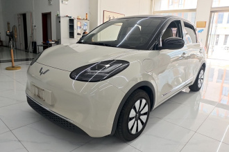 五菱汽车 五菱缤果 2024款 333km 悦享款