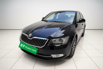 斯柯达 速派 2013款 2.0TSI DSG尊仕版
