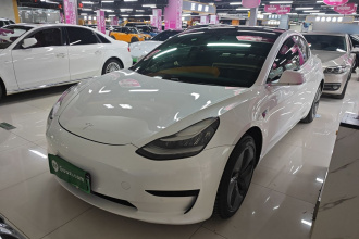 特斯拉 Model 3 2020款 标准续航后驱升级版