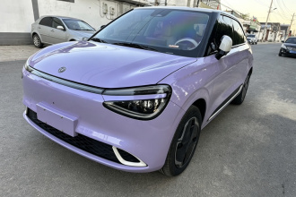 东风纳米 纳米01 2024款 330 Plus智+