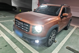 哈弗大狗 2021款 1.5T DCT两驱边牧-旺财版