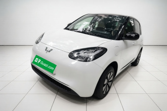 五菱汽车 五菱缤果 2023款 333km 悦享款