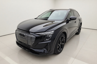 奥迪Q5 e-tron 2023款 40 e-tron 星耀型 黑武士版