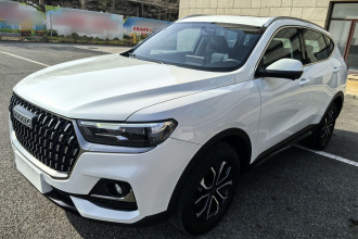 哈弗H6 2023款 国潮版 1.5T 自动都市版