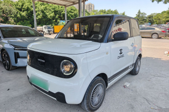 吉利银河 2024款 熊猫mini 200km 耐力熊