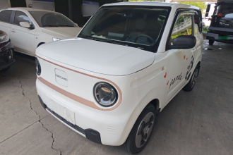 吉利银河 2023款 熊猫mini 200km 灵动熊