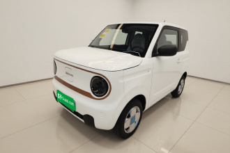 吉利银河 2024款 熊猫mini 200km 龙腾PRO版