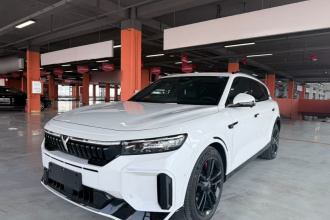 岚图汽车 岚图FREE 2025款 318 318km 后驱环游版