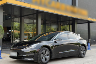 特斯拉 Model 3(进口) 2019款 长续航后驱版
