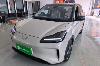 五菱汽车 五菱缤果PLUS 2024款 510km 五座版