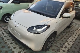 五菱汽车 五菱缤果 2024款 333km 悦享款