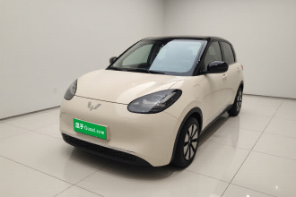 五菱汽车 五菱缤果 2023款 333km 悦享+款