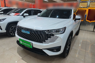 哈弗H6新能源 2023款 DHT-PHEV 110KM 悦行版