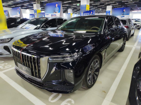 红旗H9 2024款 2.0T 旗享 私享风尚版