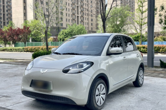 五菱汽车 五菱缤果 2023款 203km 轻享款