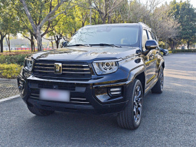 坦克700新能源 2024款 Hi4-T 极境版