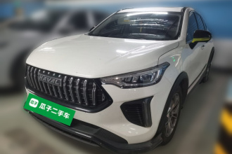 哈弗赤兔 2022款 劲享版 1.5T 紫铜兔