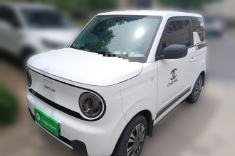 吉利银河 2024款 熊猫mini 200km 耐力熊