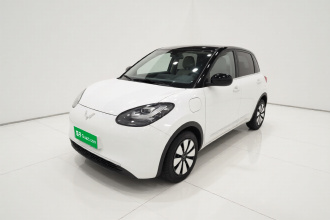 五菱汽车 五菱缤果 2024款 333km 悦享款