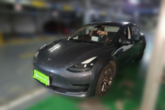 特斯拉 Model 3 2021款 标准续航后驱升级版