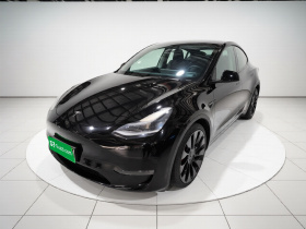 特斯拉 Model Y 2021款 Performance高性能全轮驱动版