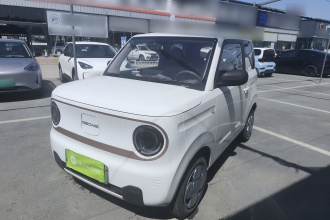 吉利银河 2024款 熊猫mini 200km 耐力熊