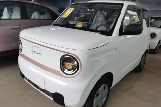 吉利银河 2024款 熊猫mini 200km 耐力熊
