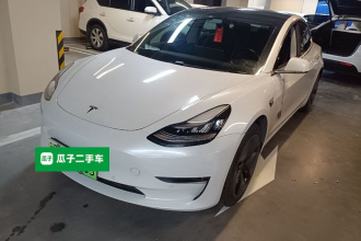 特斯拉 Model 3(进口) 2019款 长续航后驱版