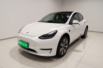 特斯拉 Model Y 2021款 长续航全轮驱动版 3D7