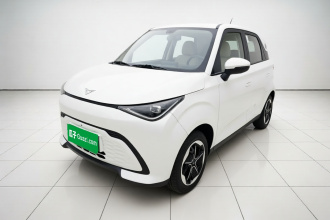 凯翼拾月 2026款 Mate 305km 国轩踏浪版