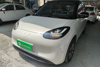五菱汽车 五菱缤果 2024款 333km 悦享款
