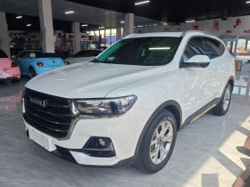 哈弗H6 2021款 国潮版 1.5T 自动冠军版