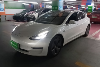 特斯拉 Model 3(进口) 2019款 长续航后驱版