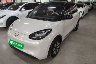 五菱汽车 五菱缤果 2023款 333km 灵犀互联款
