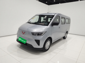 五菱汽车 五菱扬光 2024款 300km 舒适型客车版 75kW