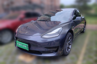 特斯拉 Model 3 2019款 标准续航后驱升级版