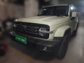 坦克300 2021款 城市版 2.0T 很有型