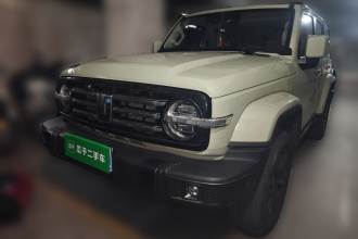 坦克300 2021款 城市版 2.0T 很有型