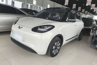 五菱汽车 五菱缤果 2023款 333km 悦享款